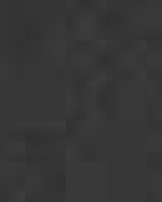 Men's Three Layer Fleece Bonded Shell Technical Jacket