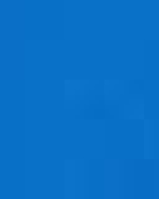 Women's Network Lightweight Jacket