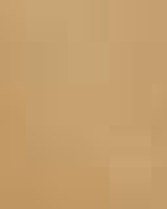 Non-Woven Gusset Bottom Tote