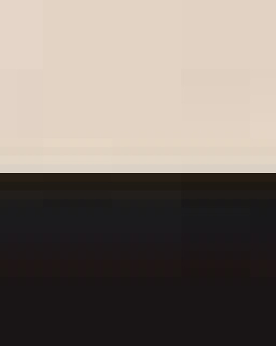 20L Small Deluxe Tote