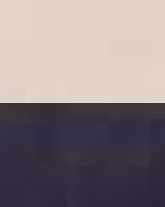 20L Small Deluxe Tote