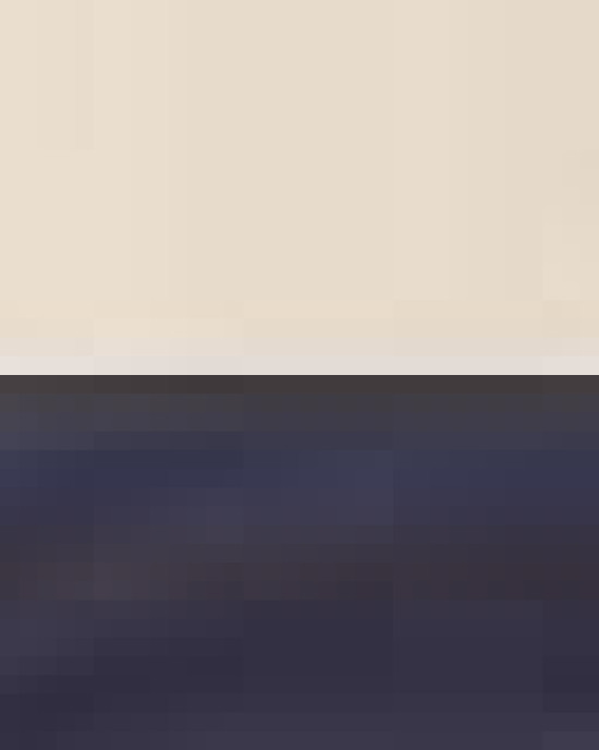 34.6L Large Canvas Deluxe Tote