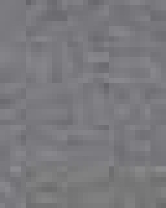 Toddler Fleece Crewneck Sweatshirt