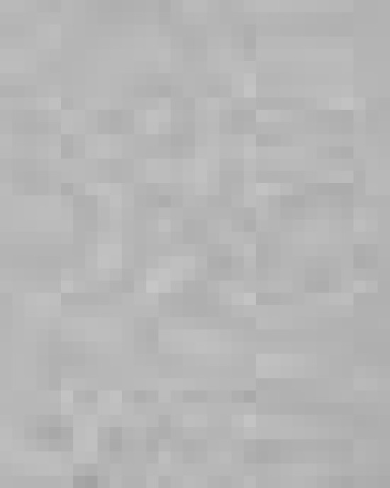 Toddler Fleece Crewneck Sweatshirt