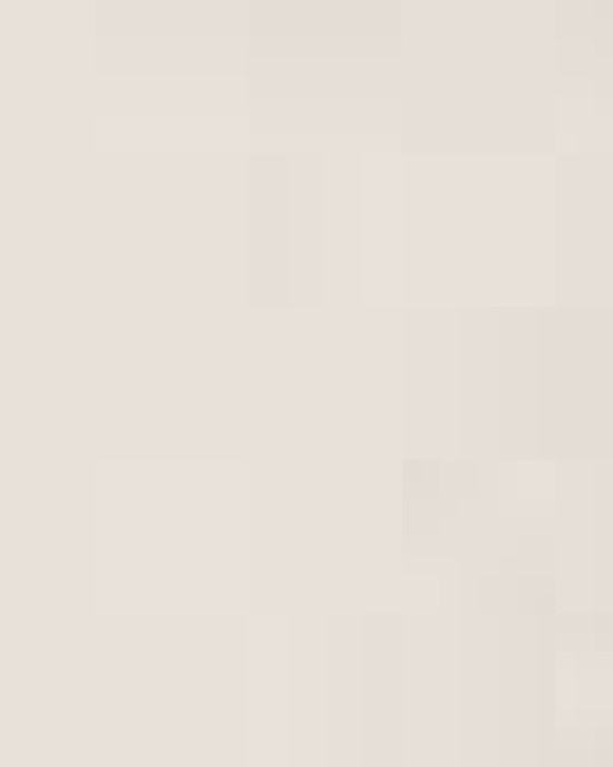 Toddler Fleece Crewneck Sweatshirt