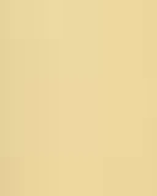 Infant Baby Rib Bodysuit