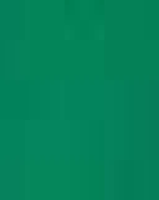 Infant Baby Rib Bodysuit