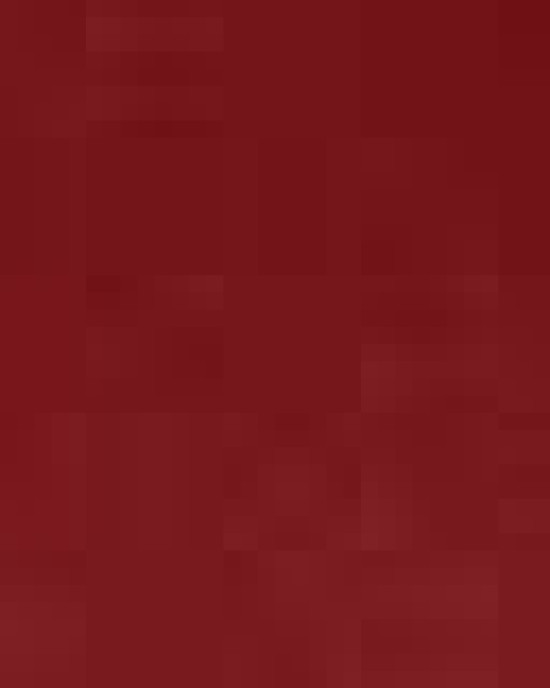 Infant Fine Jersey Bodysuit