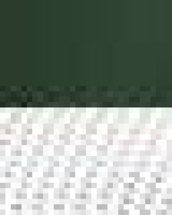 Snapback Trucker Cap