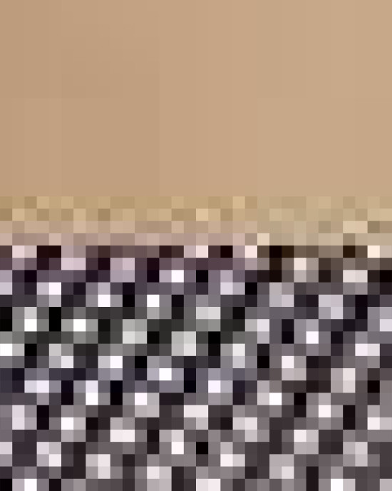 Snapback Trucker Cap