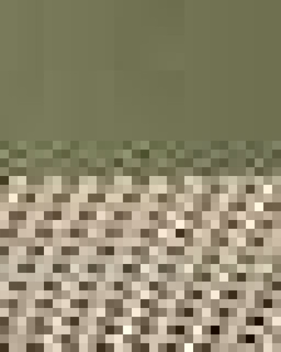 Five-Panel Trucker Cap