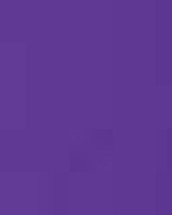 Women's Zone Performance Mesh T-Shirt