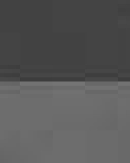 Undeniable 5.0 LG Duffel Bag