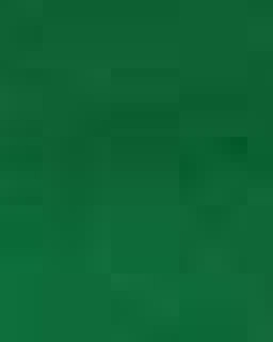 Bio-Washed Classic Dad Hat