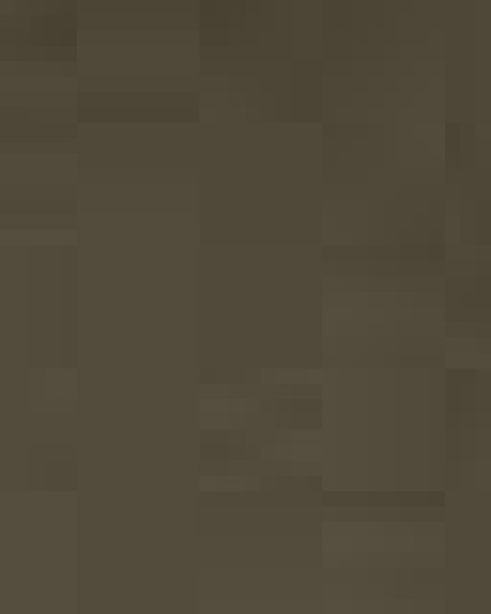 Bio-Washed Classic Dad Hat