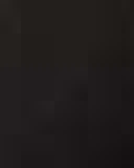 Premium Five-Panel Snapback Cap