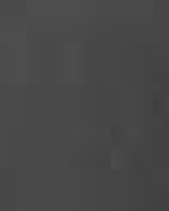 Premium Five-Panel Snapback Cap