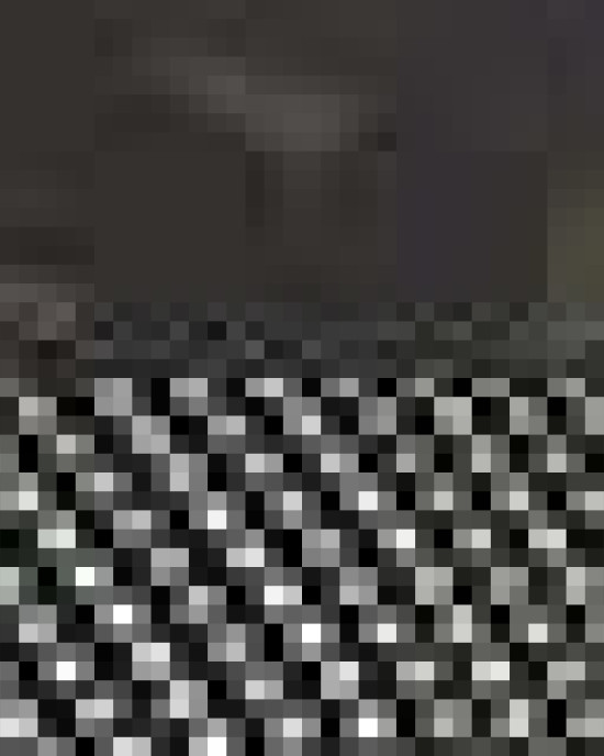 Five-Panel Classic Trucker Cap