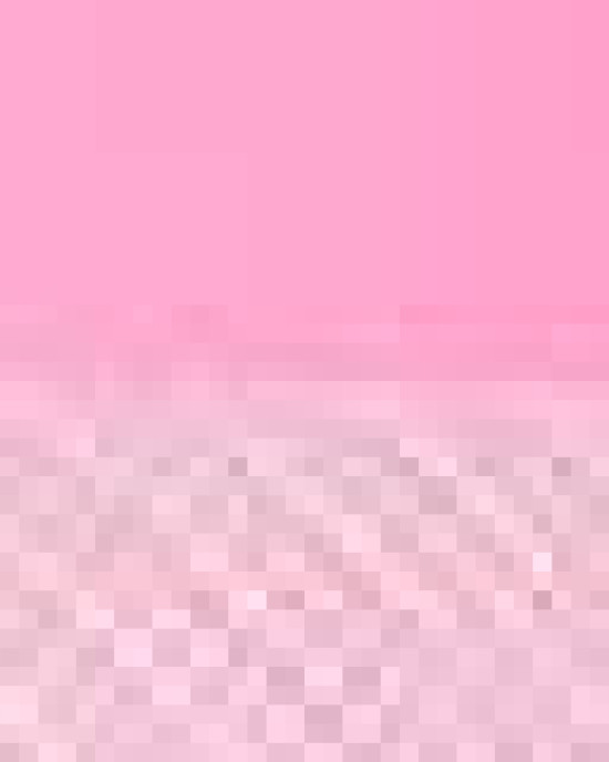 Five-Panel Classic Trucker Cap