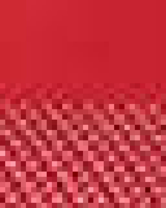 Five-Panel Classic Trucker Cap