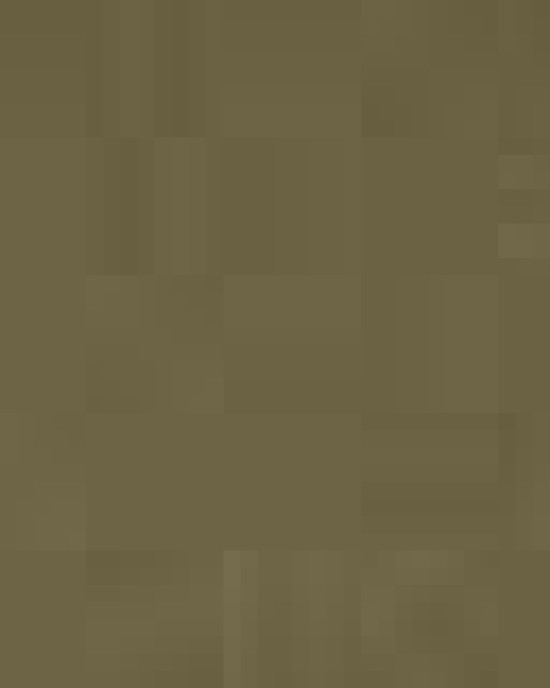 Peached Cotton Twill Dad Hat