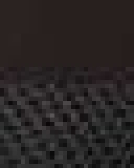 Five-Panel Retro Trucker Cap