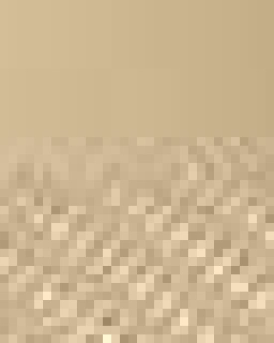 Five-Panel Retro Trucker Cap