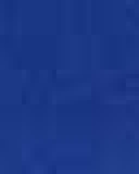 Premium Curved Bill Snapback Cap