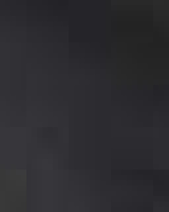 Men's Puffer Full-Zip Vest