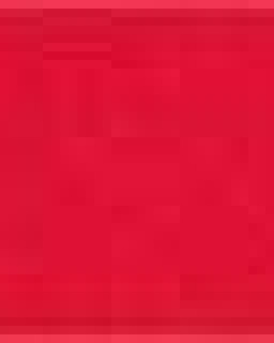 Unisex Heavyweight Cotton Tee