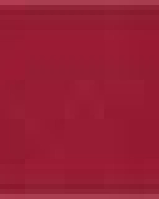 Unisex Fine Jersey Tee