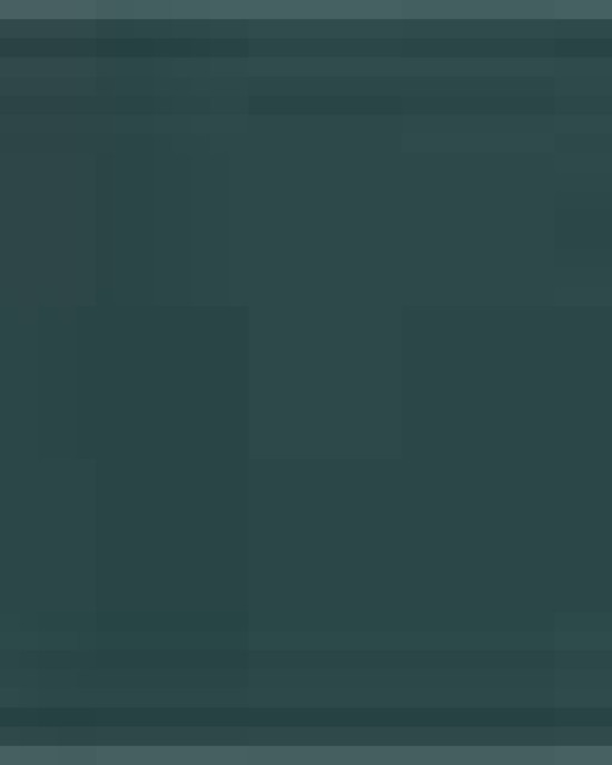 Unisex Fine Jersey Tee