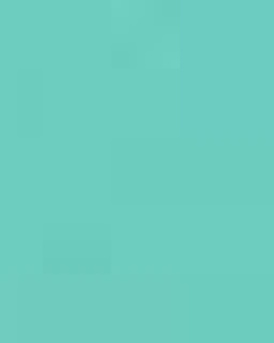 Unisex Sponge Fleece Hoodie Sweatshirt