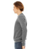 Unisex Sponge Fleece Raglan Crewneck Sweatshirt