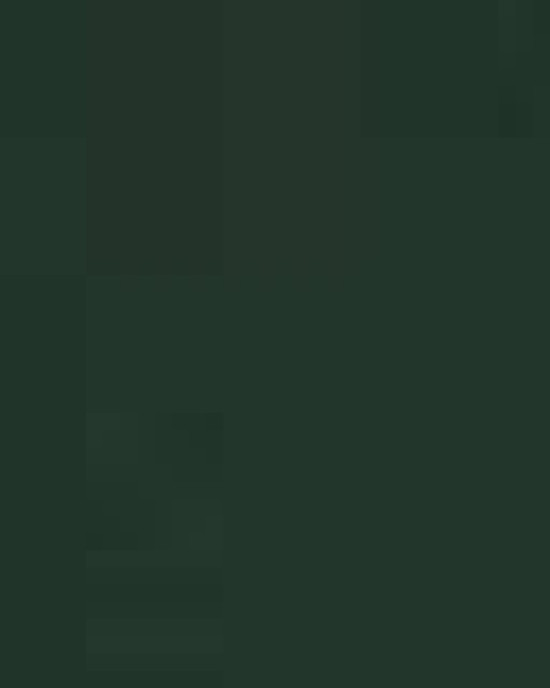 Unisex Sponge Fleece Raglan Crewneck Sweatshirt