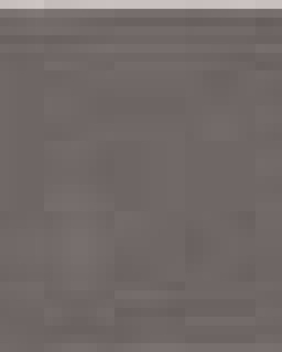 Women's Slim Fit Tee