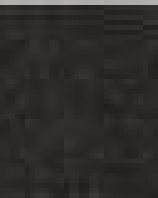 Women’s Flowy Off Shoulder Long Sleeve Tee