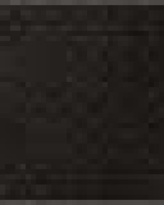 Unisex Polyester Mesh 9