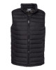 Men's Powder Lite™ II Vest