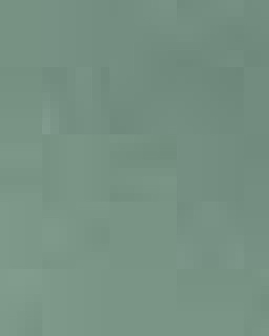 Unisex Garment-Dyed Crewneck Sweatshirt