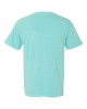 Unisex Garment-Dyed Heavyweight T-Shirt