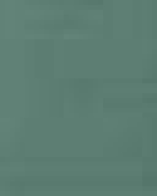 Unisex Garment-Dyed Heavyweight T-Shirt