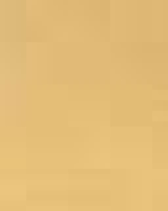 Unisex Garment-Dyed Heavyweight T-Shirt