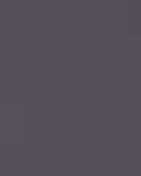 Unisex Capital Performance T-Shirt