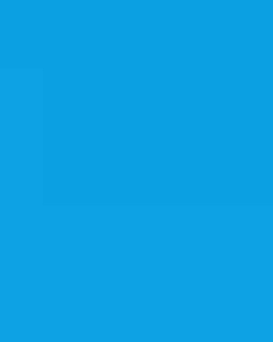 Unisex Capital Performance T-Shirt