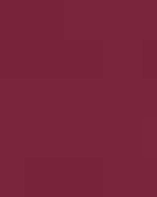 Women's Market Snag Protect Mesh Polo