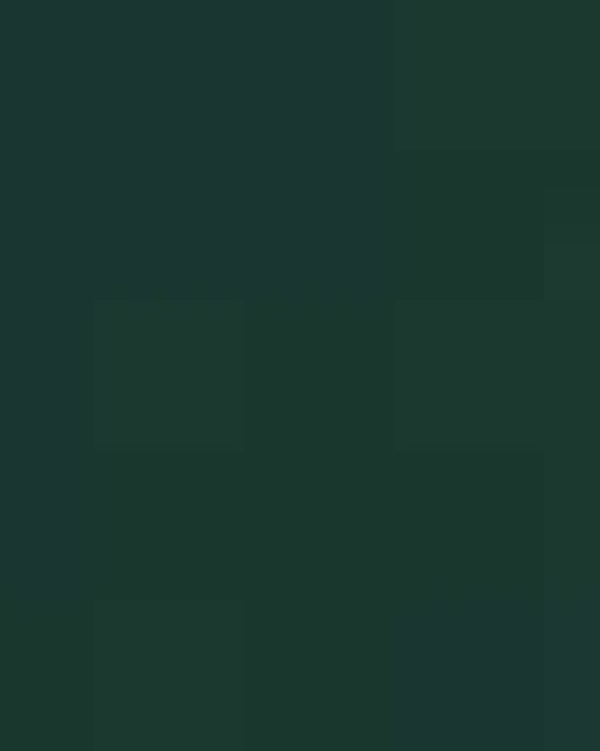 Women's Market Snag Protect Mesh Polo