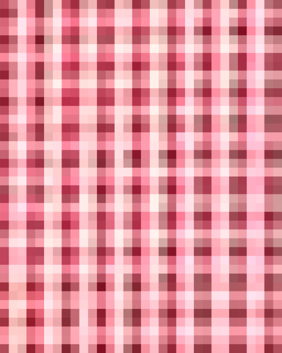 Women's Crown Collection® Gingham Check Woven Dress Shirt