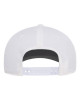 110® Snapback Cap