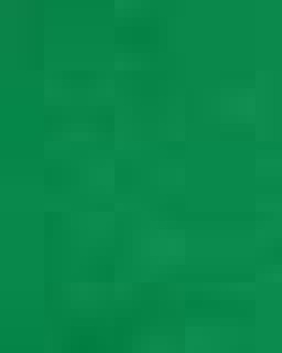 Unisex Heavy Cotton™ T-Shirt